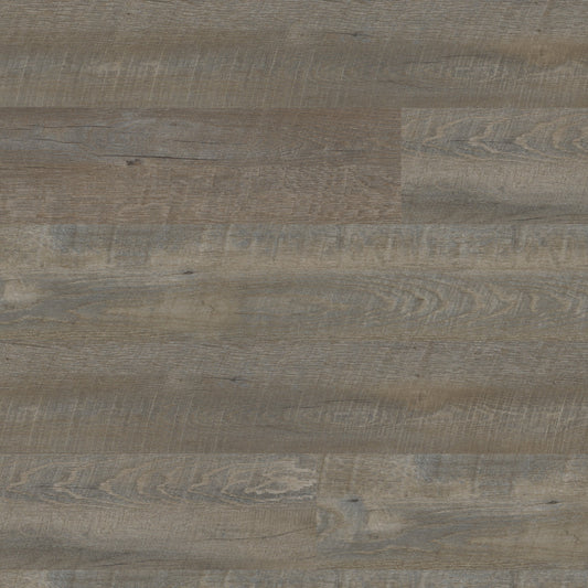 SPC Oak Sage