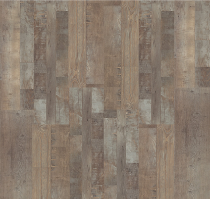 Click SPC Virgo 29.52 SF/CTN